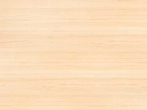 Beech wood stain sample